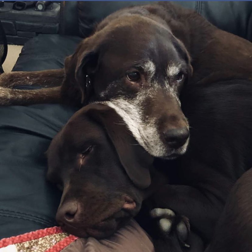 stainlessstyled's tweet image. 