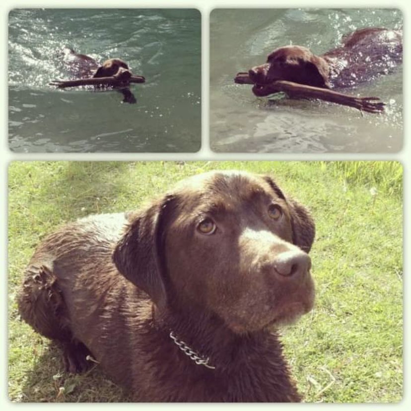 stainlessstyled's tweet image. 