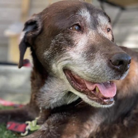 stainlessstyled's tweet image. 