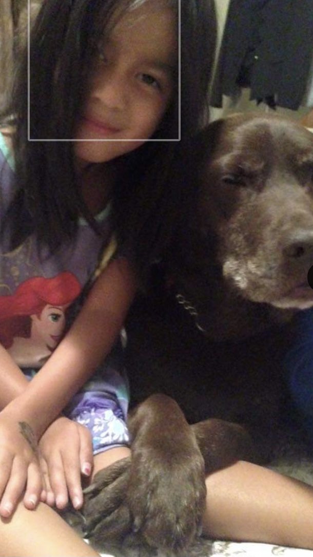 stainlessstyled's tweet image. 