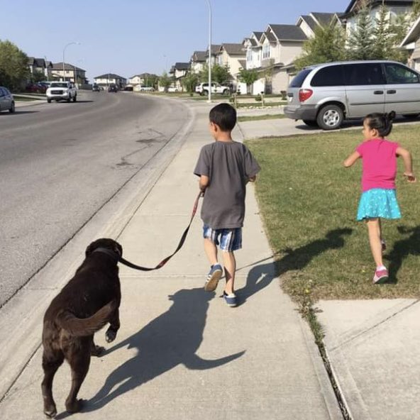 stainlessstyled's tweet image. 