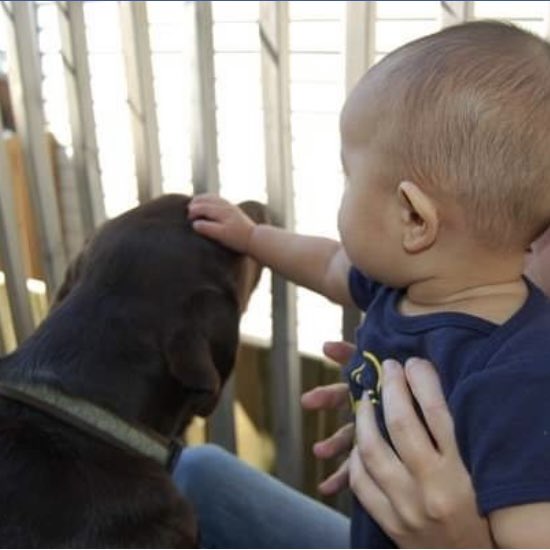 stainlessstyled's tweet image. 