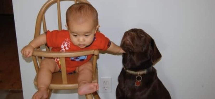 stainlessstyled's tweet image. 