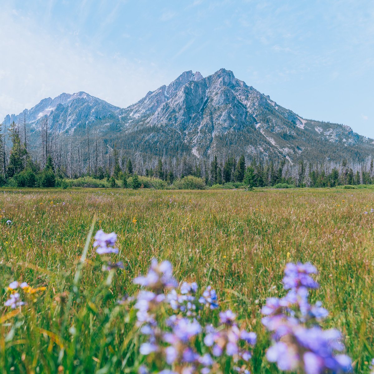 wanderingqueeen's tweet photo. Idaho has my heart ❤️ https://t.co/rBZ0MpgoRJ