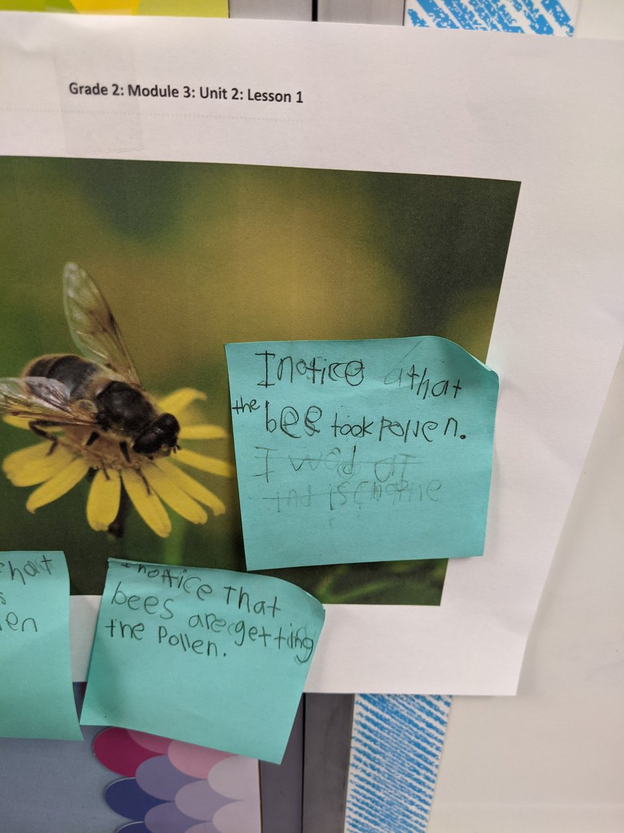 Clifton Hills Elementary School (@hillselem) on Twitter photo Students in 2nd grade are trying to solve the mystery of what they will be learning about in Module 3. Can you solve the mystery??? <a href="/ELeducation/">EL Education</a> <a href="/hamcoschools/">Hamilton County Schools</a> <a href="/HCSMRidge/">HCSMissionaryRidge</a> Students in 2nd grade are trying to solve the mystery of what they will be learning about in Module 3. Can you solve the mystery??? <a href="/ELeducation/">EL Education</a> <a href="/hamcoschools/">Hamilton County Schools</a> <a href="/HCSMRidge/">HCSMissionaryRidge</a>