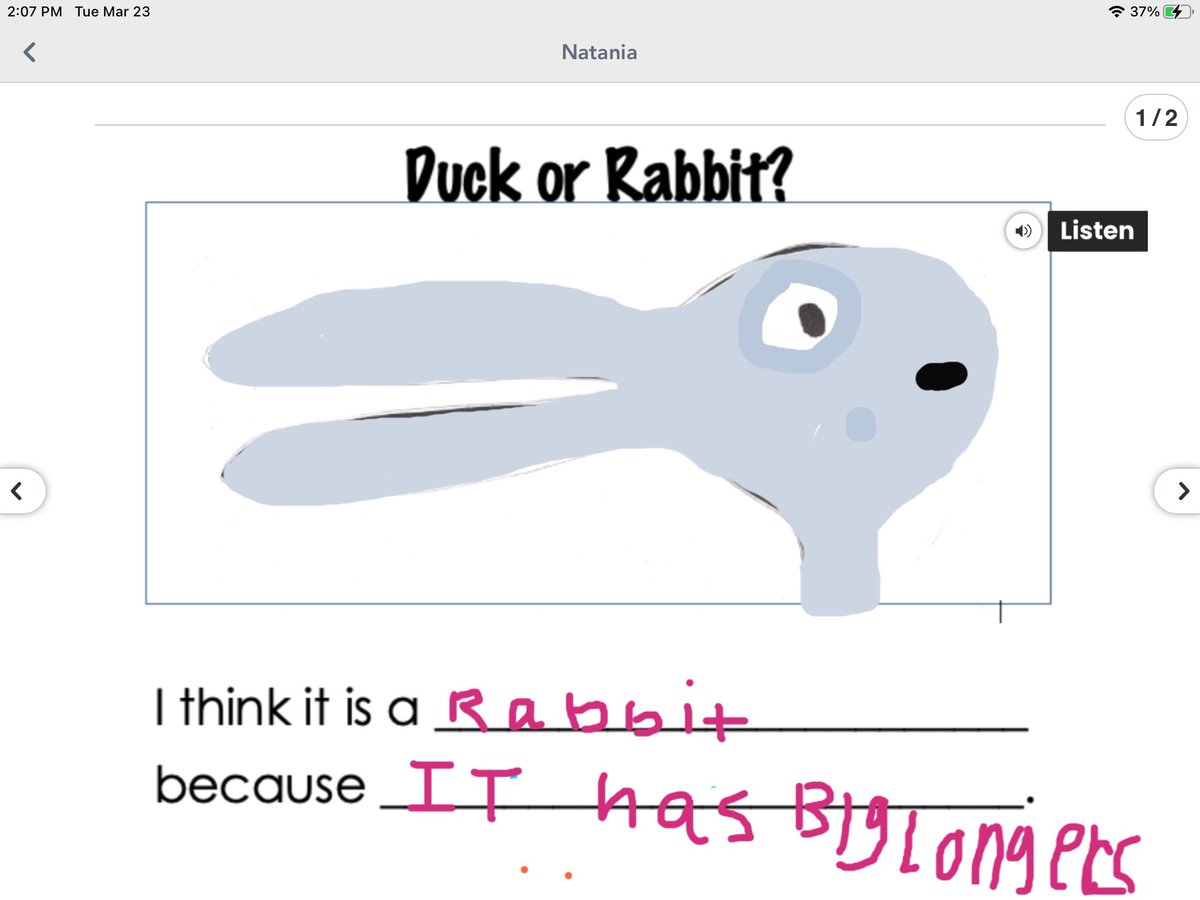MrsKowalevicz's tweet photo. Duck or Rabbit? 🦆🐇 @RandolphStars First Graders are writing to express their opinions and give supporting reasons. 📝 💭#RandolphStars #RandolphReads @randolph_reads #APSisAwesome #FunInFirst #FirstGradeRocks https://t.co/PmmwUikluz