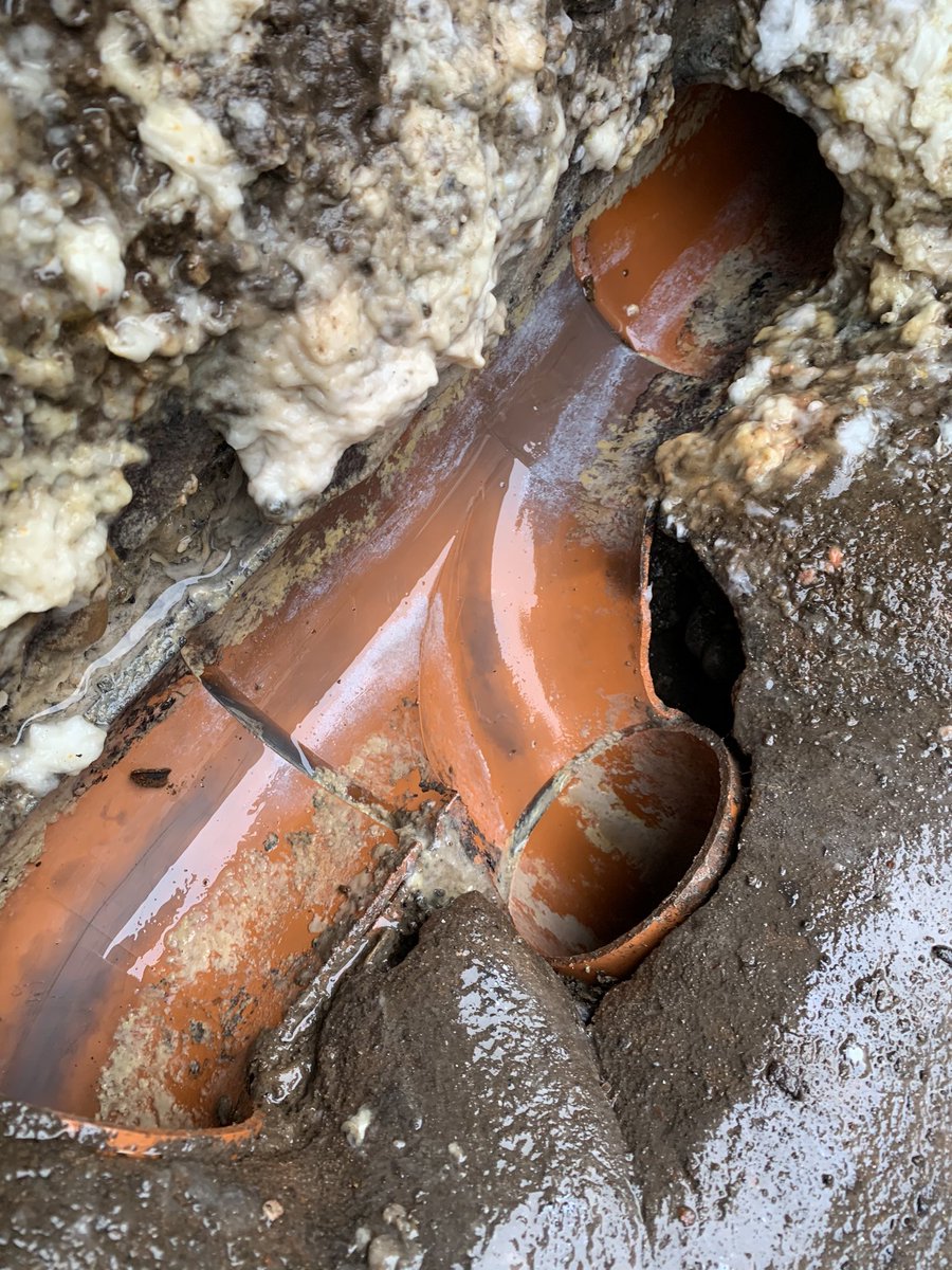 ThePestPeople's tweet photo. We’ve been very busy dealing with rats, and all other pests, across Nottingham and Derby during lockdown, with reports that rat populations have increased by 25%. Rats leaving drain systems and entering properties is still the most common problem we find with rats https://t.co/TckL0aP47w