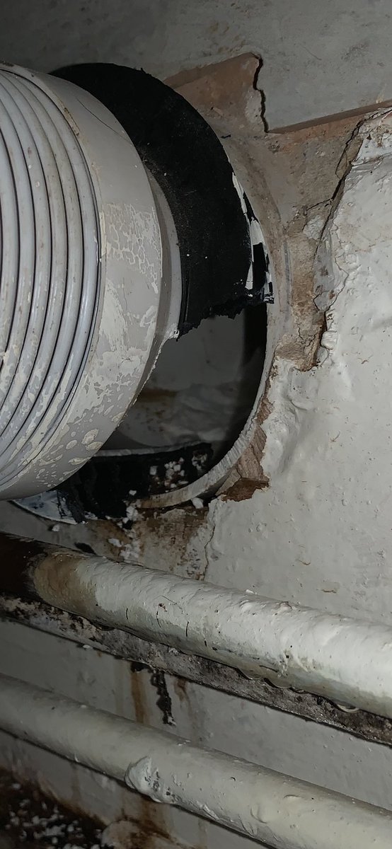 ThePestPeople's tweet photo. We’ve been very busy dealing with rats, and all other pests, across Nottingham and Derby during lockdown, with reports that rat populations have increased by 25%. Rats leaving drain systems and entering properties is still the most common problem we find with rats https://t.co/TckL0aP47w