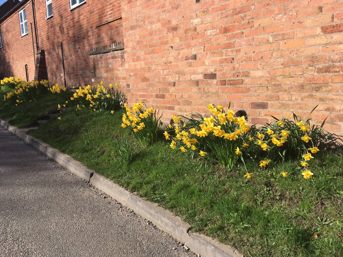 Sarahflowers50's tweet photo. Turned out to be a smashing afternoon, had a good walk and spoke to some of the locals ๐ the spring flowers are gorgeous
#walking #blueskies #lambs #freshair #feelfab https://t.co/gcm5l1L6LF