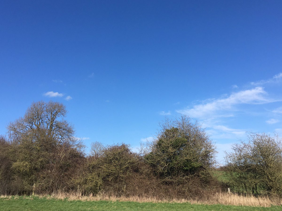 Sarahflowers50's tweet photo. Turned out to be a smashing afternoon, had a good walk and spoke to some of the locals ๐ the spring flowers are gorgeous
#walking #blueskies #lambs #freshair #feelfab https://t.co/gcm5l1L6LF