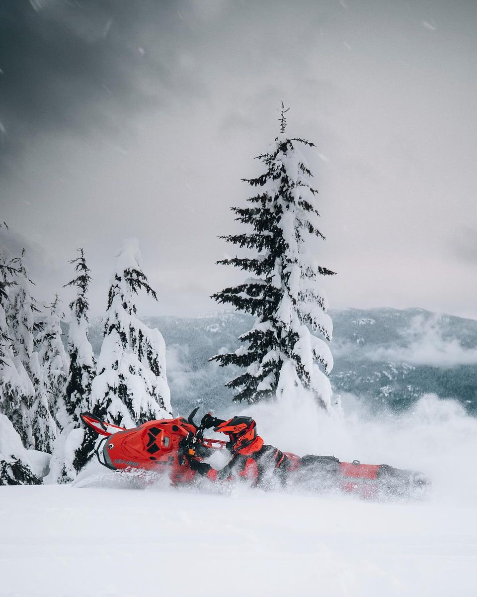 Cinetics tweet media