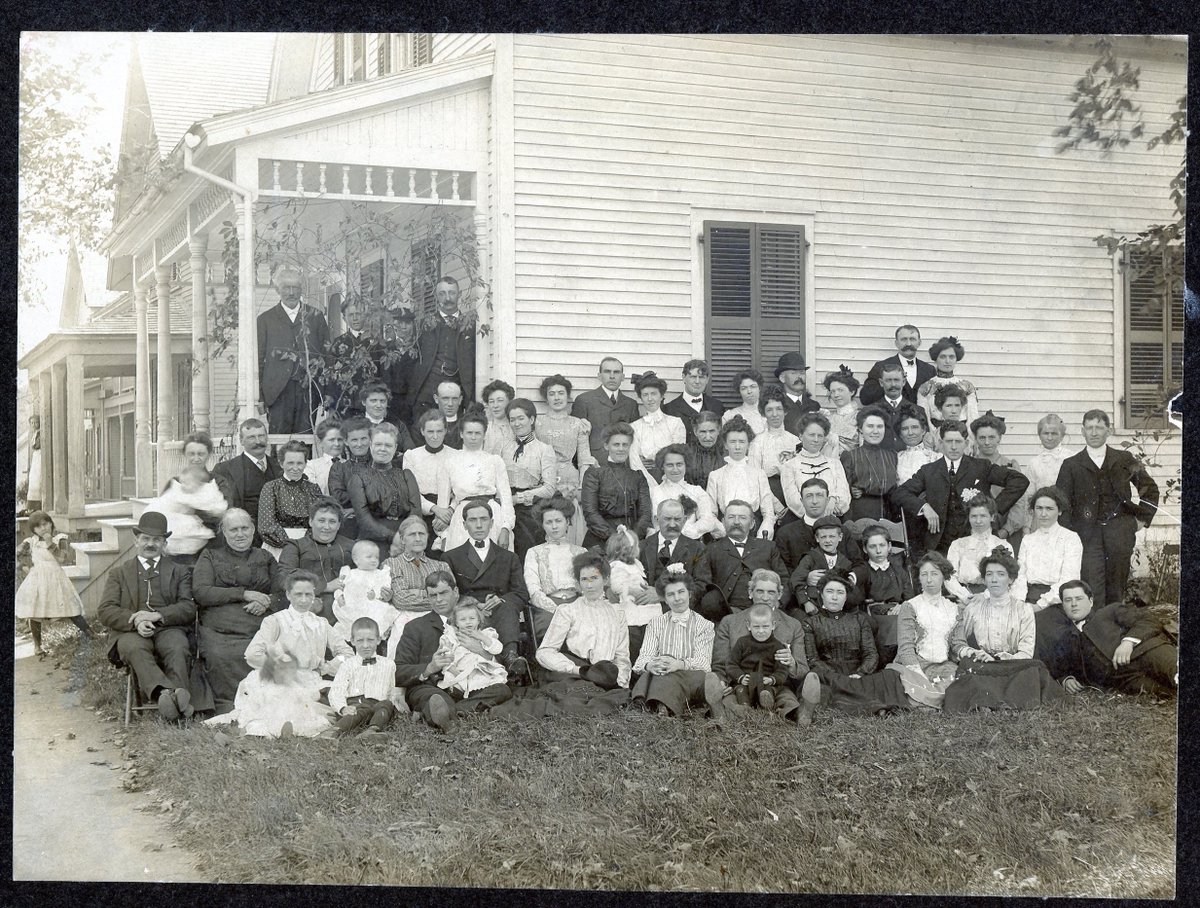 Our Fun Tree tweet media