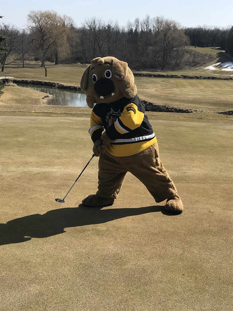 SouthbrookGC (@southbrookgc) on Twitter photo It was #WorldPuppyDay yesterday; to celebrate, we had our favourite "pup" on the course! 🐶
While we hpe the OHL drops the puck soon, it was great to see Bruiser getting in a round.
(We all miss seeing him at FirstOntario Centre and cheering on the <a href="/BulldogsOHL/">Brantford Bulldogs</a>!) ⛳🏒👏 It was #WorldPuppyDay yesterday; to celebrate, we had our favourite "pup" on the course! 🐶
While we hpe the OHL drops the puck soon, it was great to see Bruiser getting in a round.
(We all miss seeing him at FirstOntario Centre and cheering on the <a href="/BulldogsOHL/">Brantford Bulldogs</a>!) ⛳🏒👏