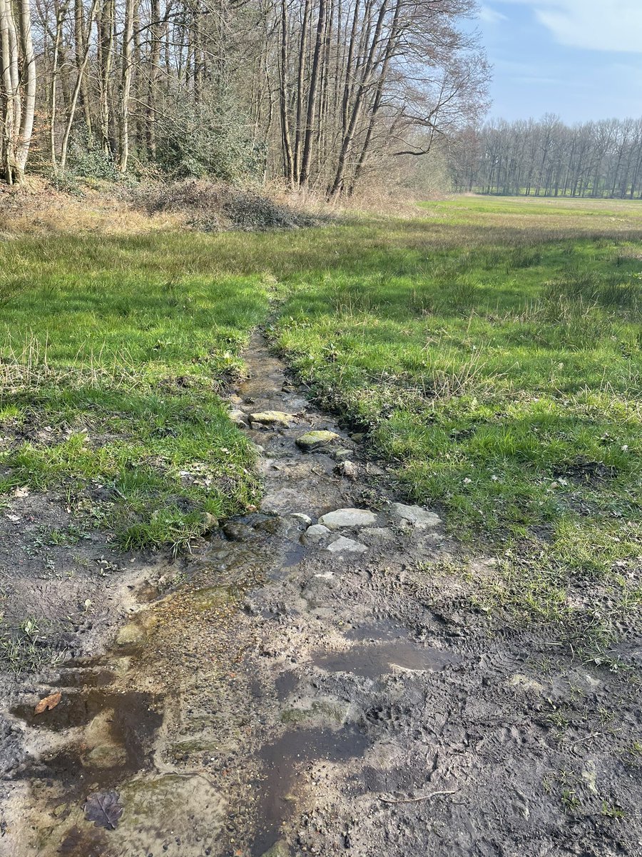 sjantie33's tweet photo. Werkwandeling van 10 km met collega #tankenberg #elfterheurne #wilmersberg #drieeilandjes #engelsetuin https://t.co/bZ0vNh4Ouw