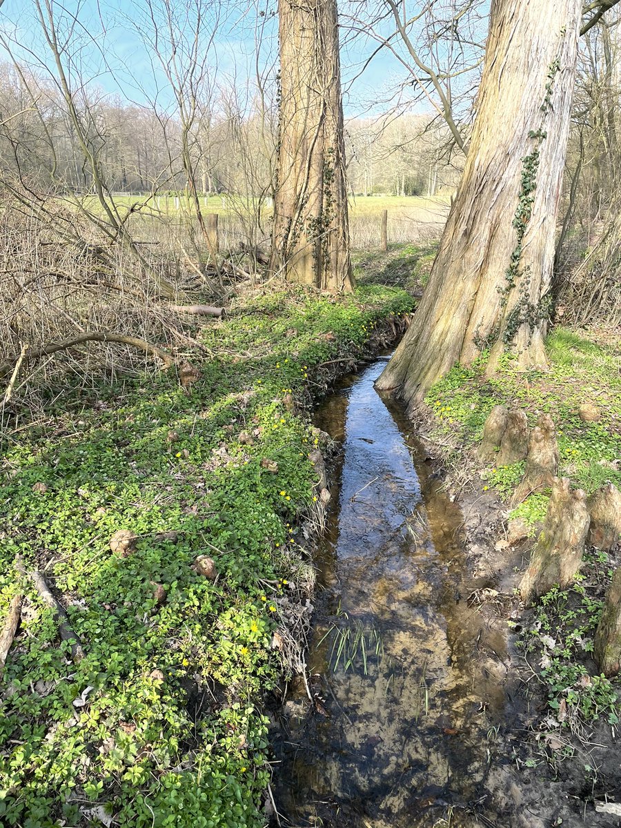sjantie33's tweet photo. Werkwandeling van 10 km met collega #tankenberg #elfterheurne #wilmersberg #drieeilandjes #engelsetuin https://t.co/bZ0vNh4Ouw