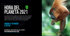 GuardianesVida's tweet photo. Desde nuestro Movimiento #GuardianesPorLaVida los invitamos a unirse a #LaHoraDelPlaneta el sábado, a las 8:30 p.m. hora #Colombia, convocada por @WWFColombia 
Únete tu también! https://t.co/mHJkeADAuF