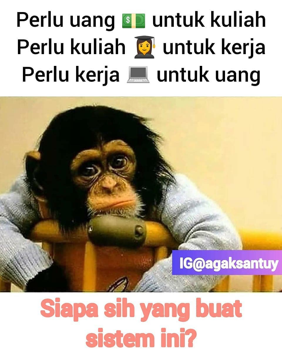 KucengTerbanggg's tweet photo. https://t.co/77ysFUbA6C