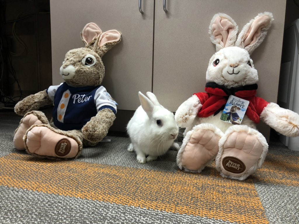 While in the office Jack wanted to talk with his friends and bring a smile to their faces! Waterloo Wednesday! <a href="/BavisTerri/">Terri Bavis</a> #prideinourtribe