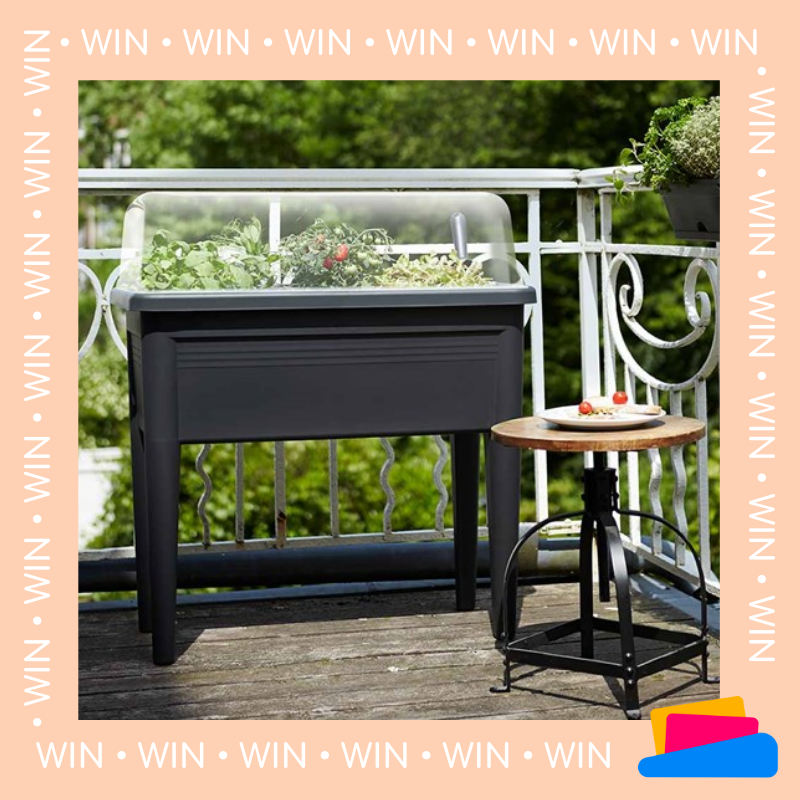mymoneypocket's tweet photo. ✨WIN✨ We’ve teamed up with @suttons_seeds to give you the chance to win a Grow Table &amp; Lid!

To enter:
🌼 Like &amp; RT this tweet 
🌼 Follow @mymoneypocket &amp; @suttons_seeds
🌼 Entrants must be a mmp member

Ends 01/04/21. UK only. Good luck!  Ts&amp;Cs on our website

#ukgiveaway https://t.co/f34S8o8Lcz