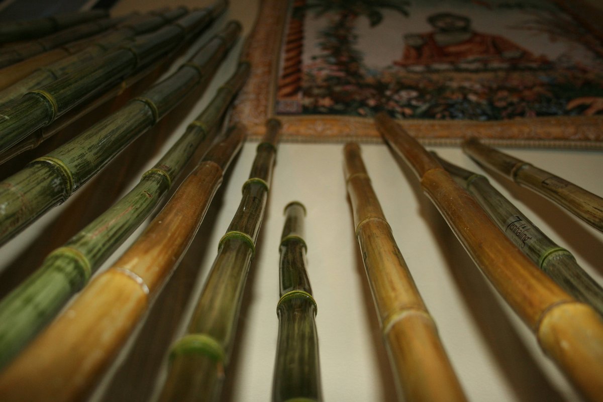 Zenhaling's tweet photo. Free Shipping! #etsy shop: Get The Z-Stick, Walk, Stretch, Strike, Use as a healing stick, swagger stick, increase flexibility, improve posture and alignment, bo staff https://t.co/ZaJtEwYIz0 #walkingstick #staff #bo #cane #zstick #bamboo #h https://t.co/TfaG3Aiyh0