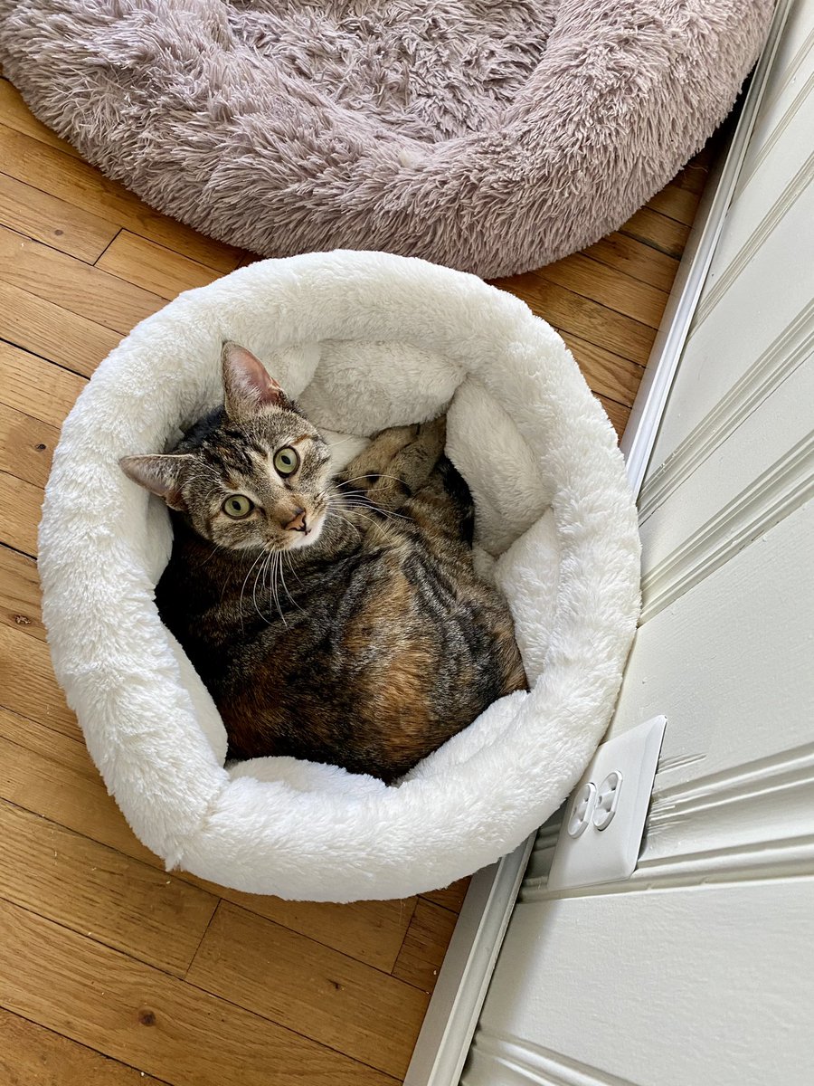 Kelly Reynolds tweet media