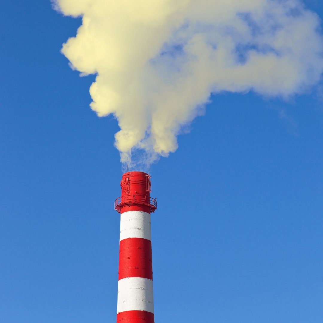 Re-Generation Earth (@regenerationea1) on Twitter photo Read our latest blog by <a href="/DougWanstall/">Doug Wanstall</a> answering the claim that we are half way towards the UK's Net Zero target! Read it here: bit.ly/31fwL2k Read our latest blog by <a href="/DougWanstall/">Doug Wanstall</a> answering the claim that we are half way towards the UK's Net Zero target! Read it here: bit.ly/31fwL2k