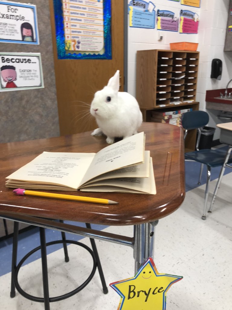 Jack headed to the classrooms to start in on his studies! <a href="/BavisTerri/">Terri Bavis</a> #prideinourtribe