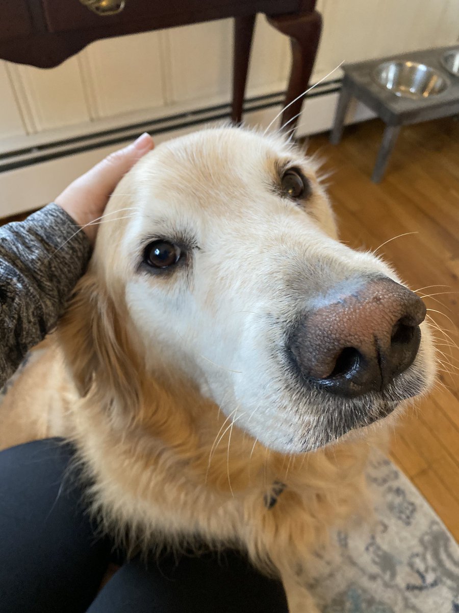 Kelly Reynolds tweet media