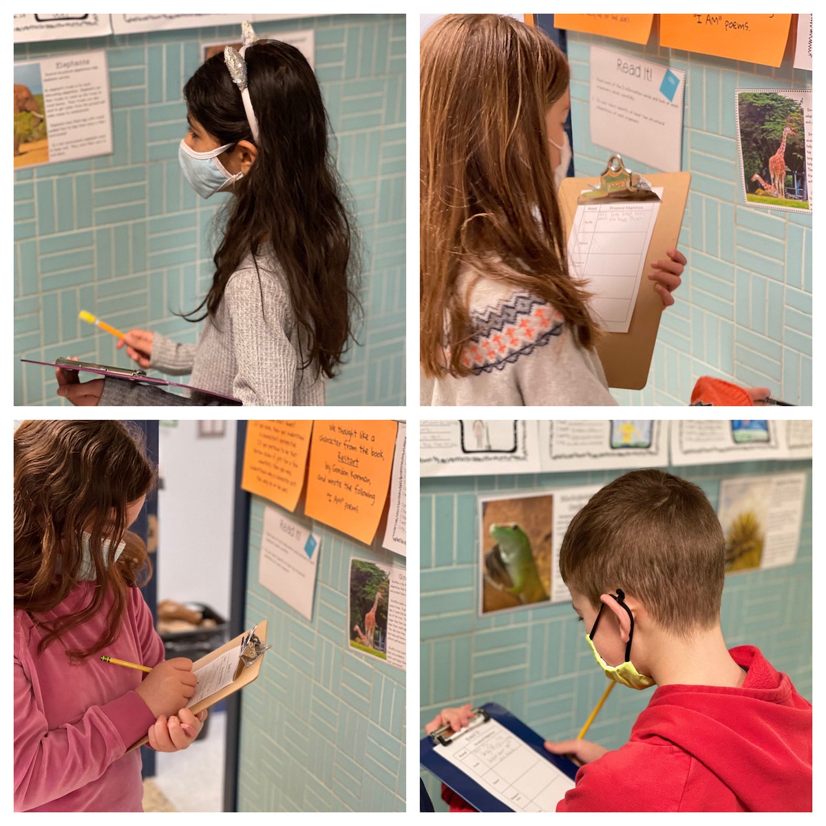 OWNER__OF__X1's tweet image. ADAPTATIONS: Science Stations #explainit #techit #readit #exploreit #sortit