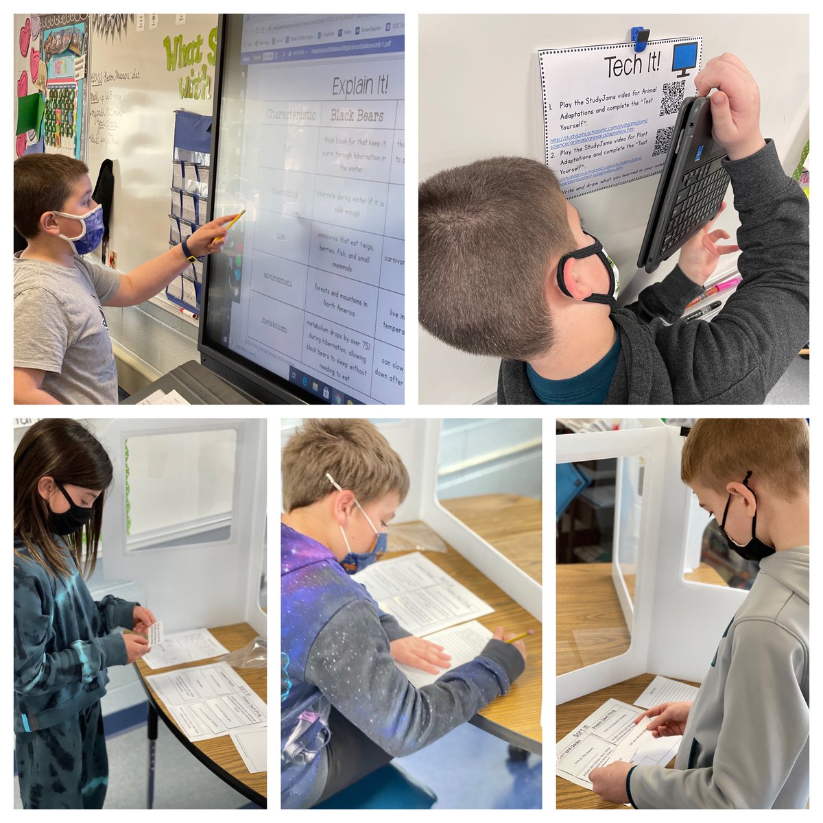 OWNER__OF__X1's tweet image. ADAPTATIONS: Science Stations #explainit #techit #readit #exploreit #sortit