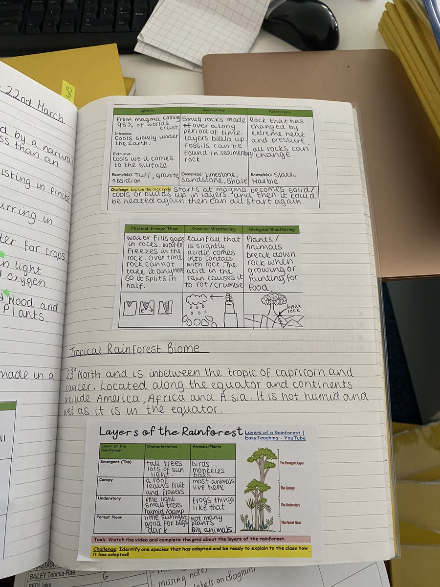 Miss Budd tweet media