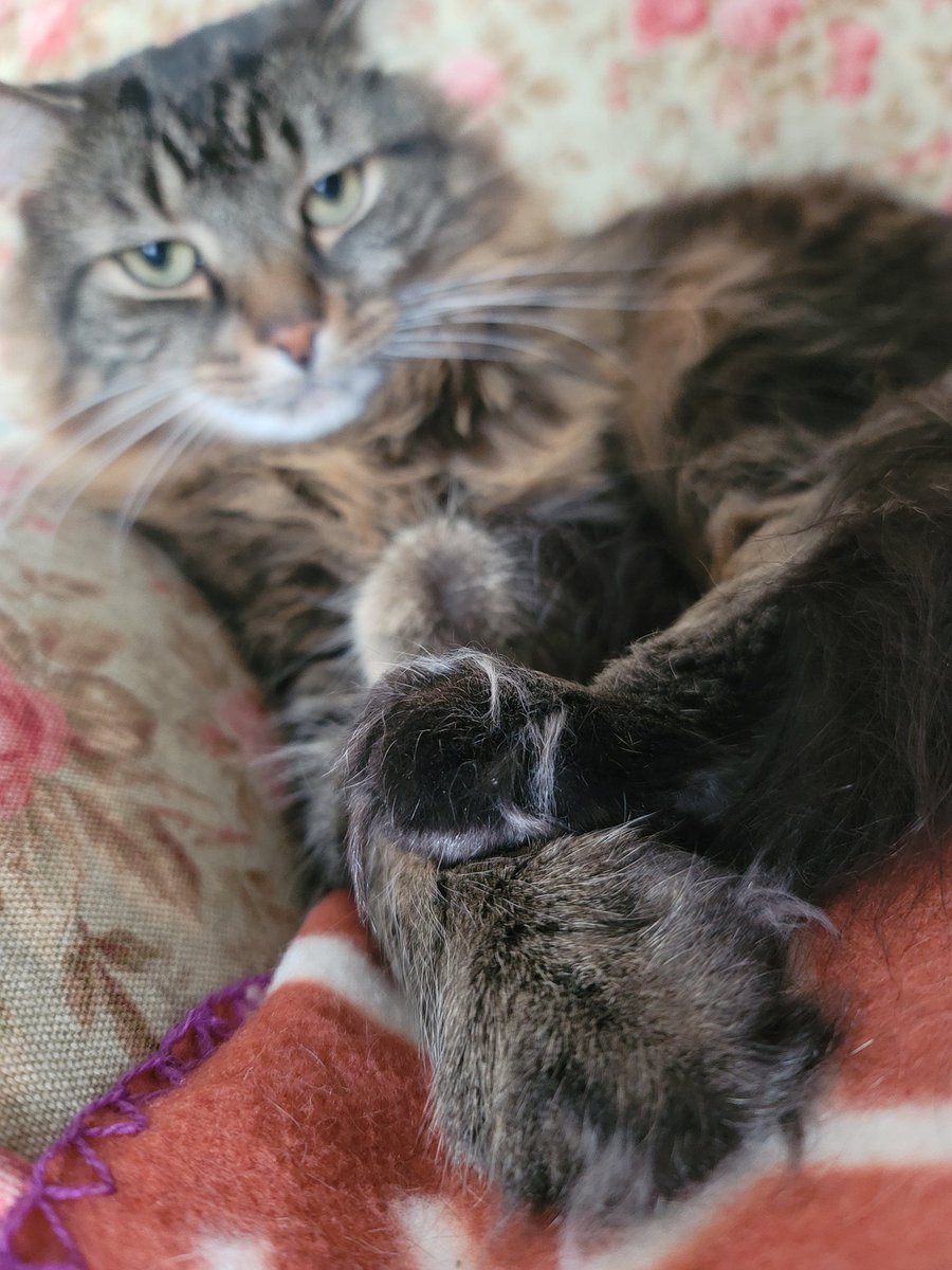 jimmzi2's tweet photo. This is a very important public service announcement: he grab himb feet https://t.co/zcdvfmXFWl