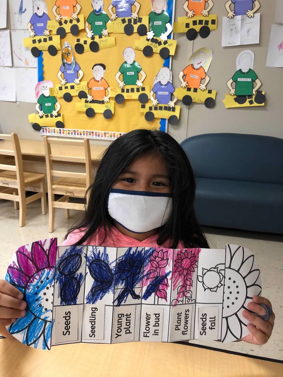 BridgePrek's tweet photo. Erica Carle week! Monday we read The Tiny Seed and had so much fun with our crafts and projects. 🌸🌺🌼🌻 https://t.co/LGsX3KHrtJ