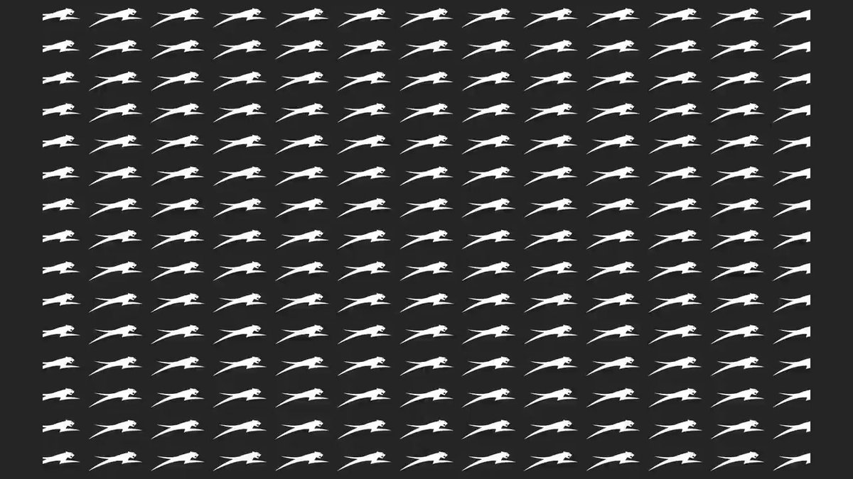 CMXPowersports tweet media