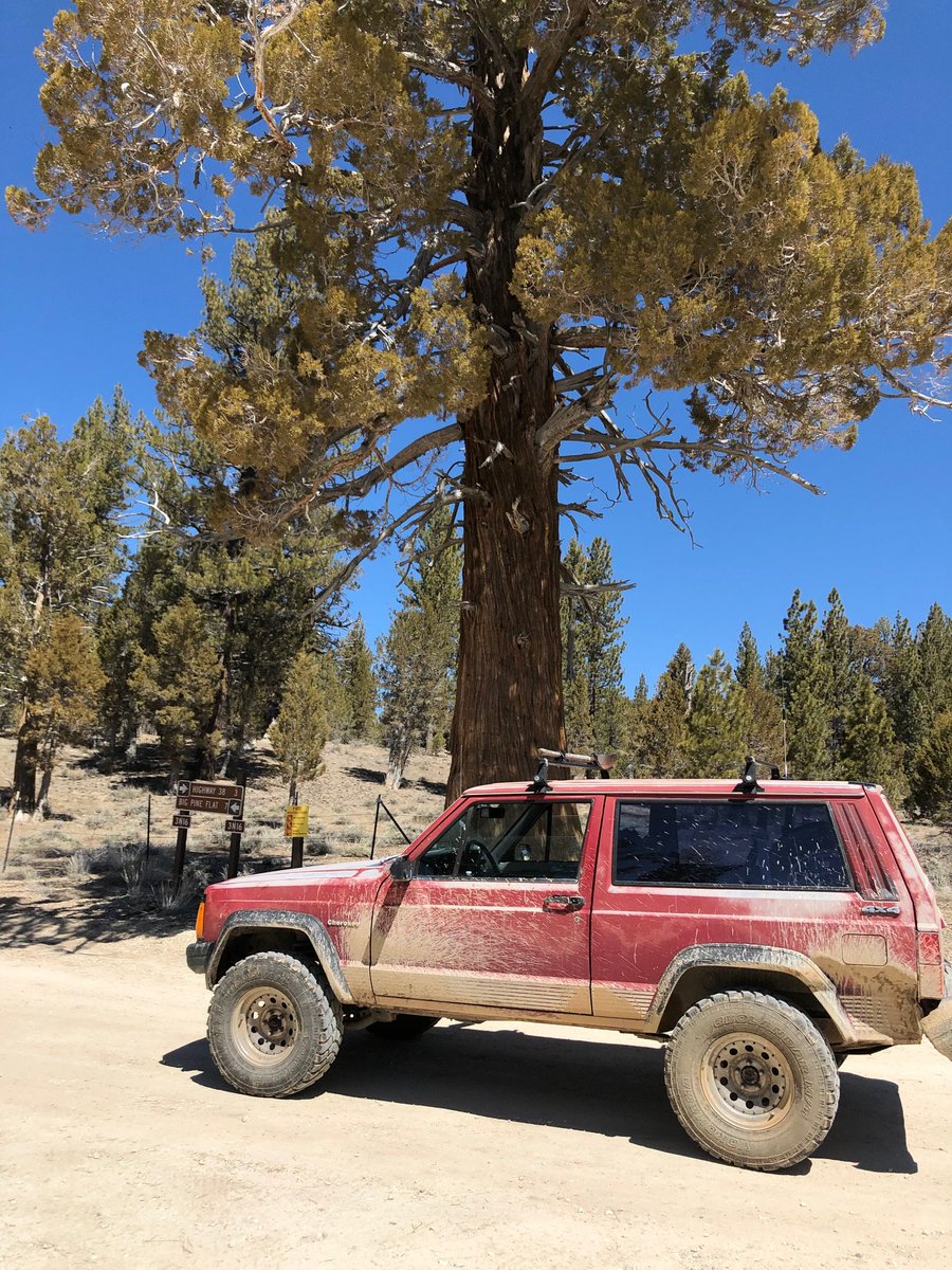 Robin M. tweet media