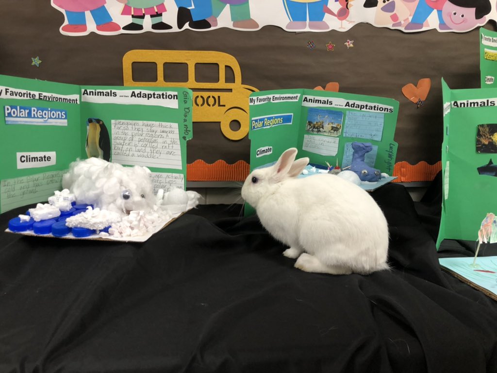 Jack decided to talk with the animals in Mrs.Wolff’s animal adaptation projects! #prideinourtribe <a href="/BavisTerri/">Terri Bavis</a>