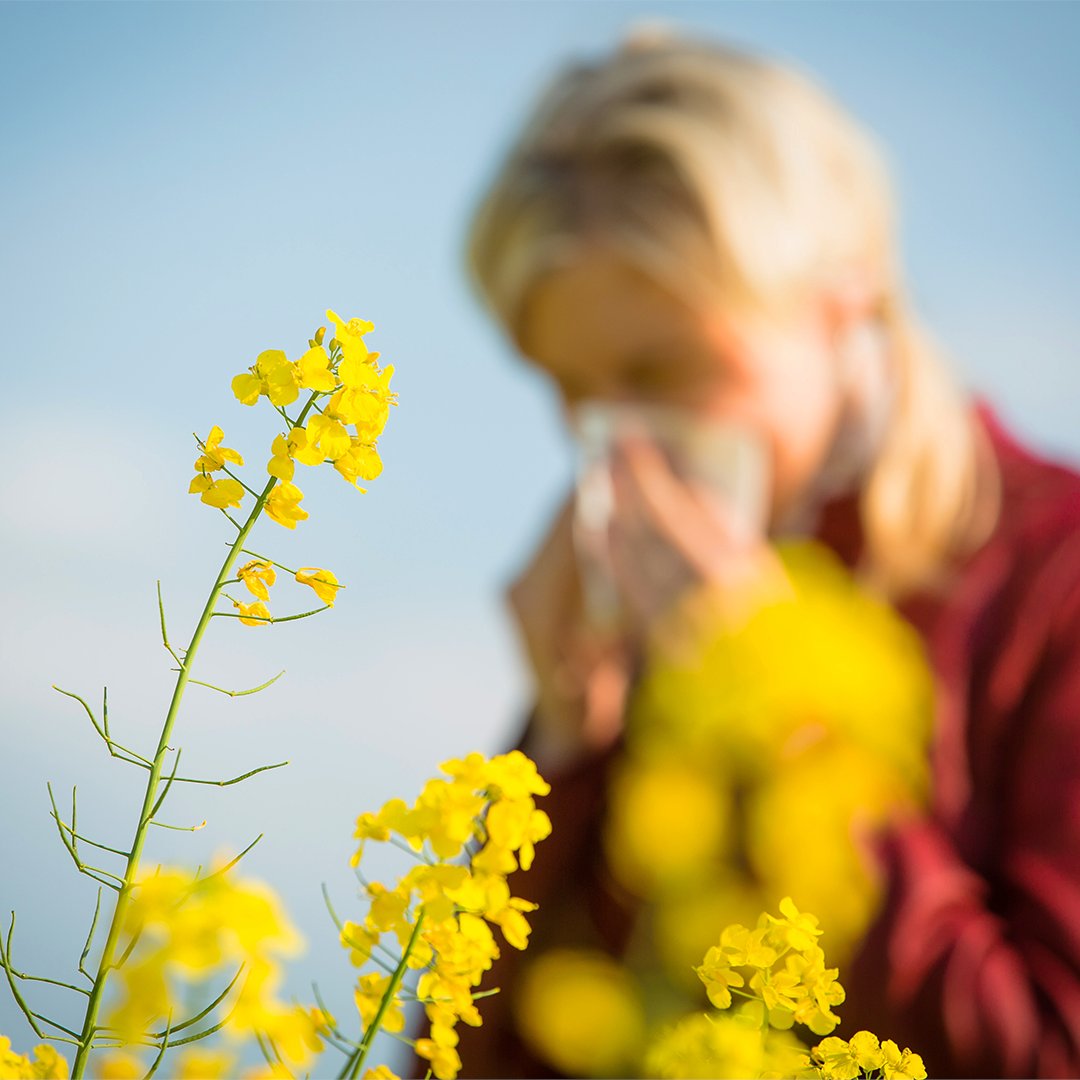 Vizulize_UK's tweet photo. It's #hayfeverseason meaning that many hay fever sufferers are fearing the worst. If your eyes are itchy and and red, it may be because of the start of pollen season! For our advice on treatments and tips on how to prevent hay fever this season, click the link in our bio. https://t.co/8jncH3ga3H