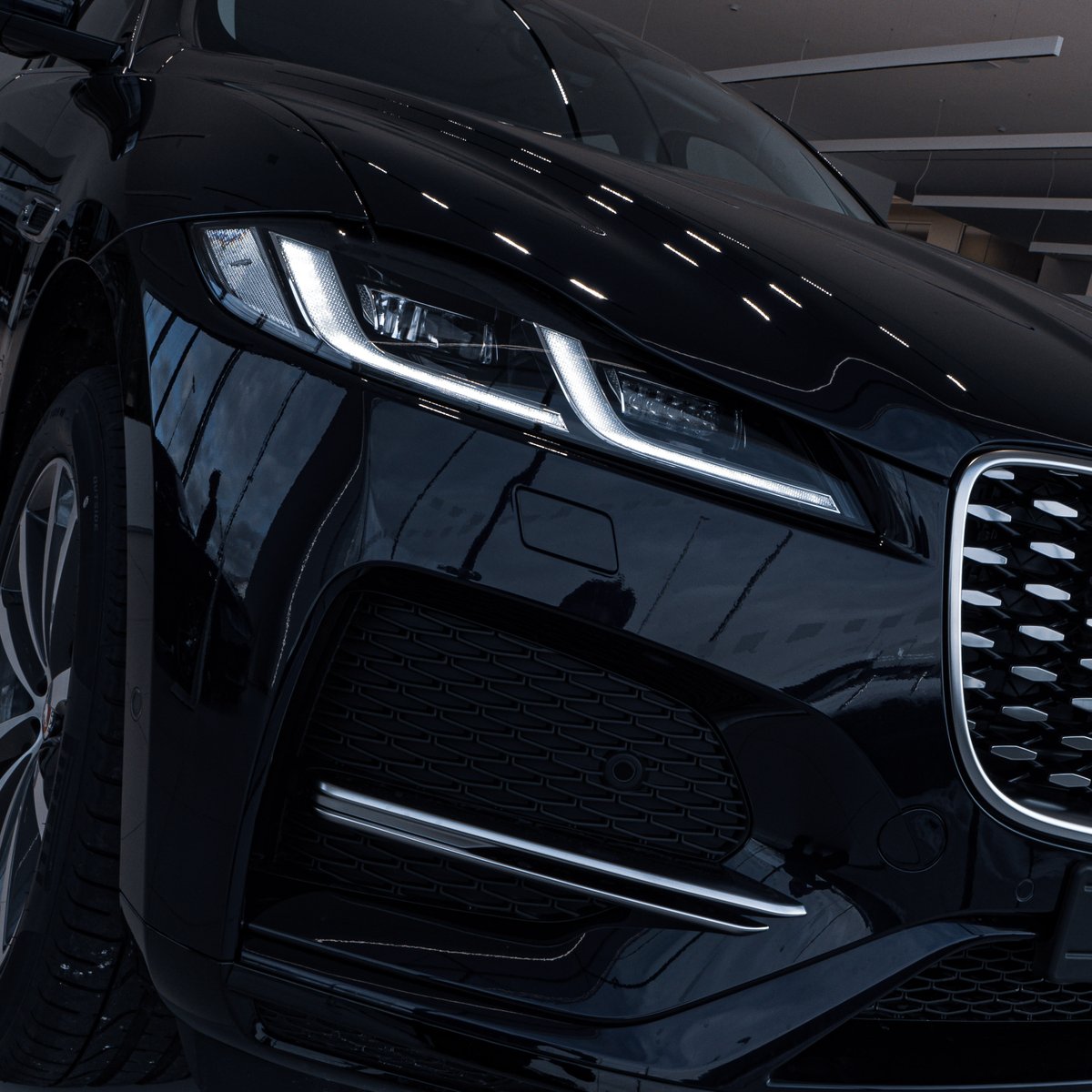 Guess the Jaguar! Comment below if you know 👇 
.
.
.
#RybrookJaguar #Rybrook #Jaguar