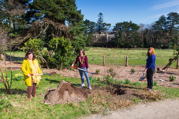 dlrcc's tweet image. Today An Cathaoirleach @unapower marked #NationalTreeWeek2021 by planting Halesia carolinia, a beautiful flowering ornamental tree. It flowers in April and is commonly called the Silver Bell Tree. Also pictured is our CE Philomena Poole and Therese Langan, Director of services.