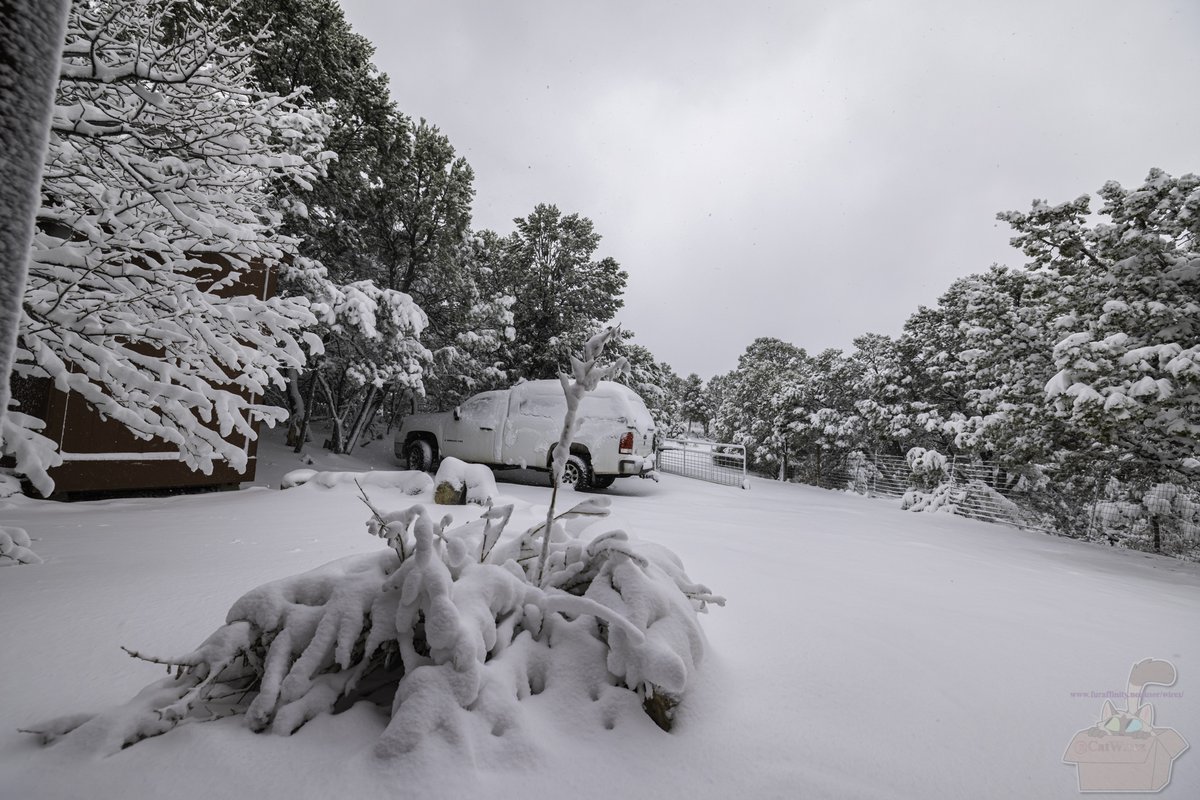 CatWirez's tweet photo. #snomageddon 3rd week in march? really? in the desert southwest? https://t.co/QxOdbPAHJi