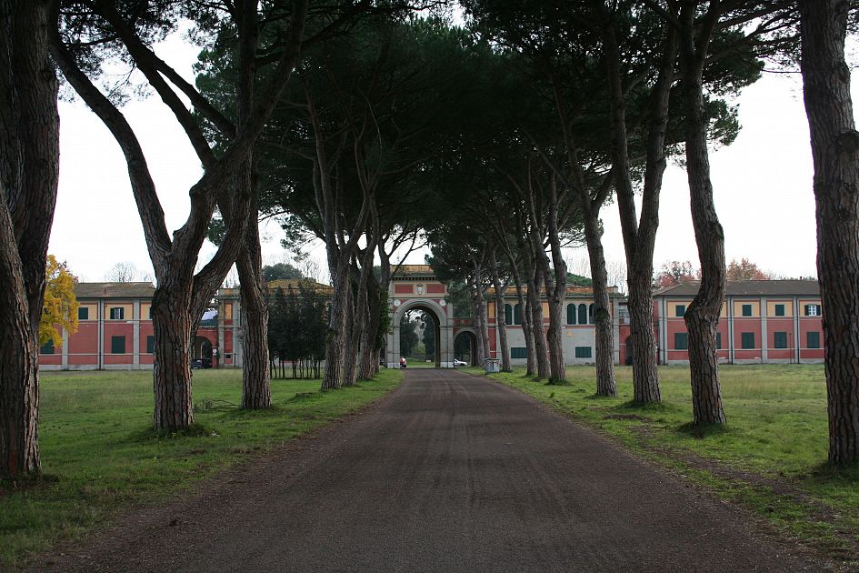 VitaNov38416586's tweet image. Presentato il masterplan del parco di #San #Rossore: turismo sostenibile, agricoltura biologica, arte, mobilità sostenibile, partecipazione