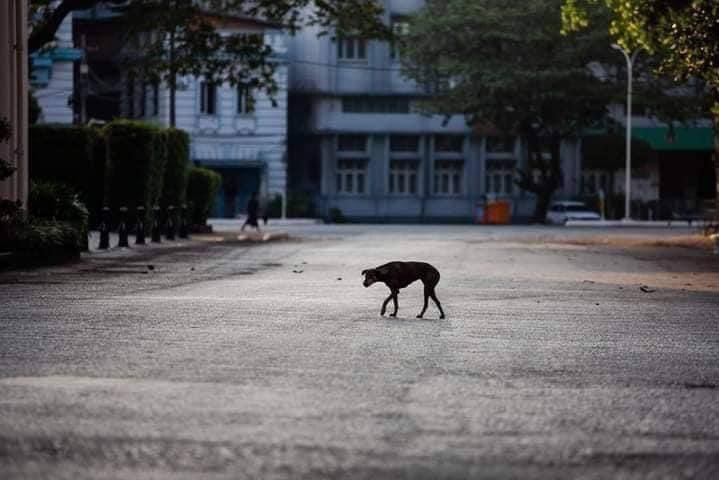chonwe7's tweet photo. Today Silence Strike in Myanmar

#WhatsHapppeningInMyanmar 
#silentstrikeinmyanmar https://t.co/6JYvrCZm4K