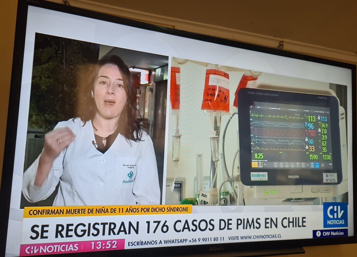 Eloisa tweet media