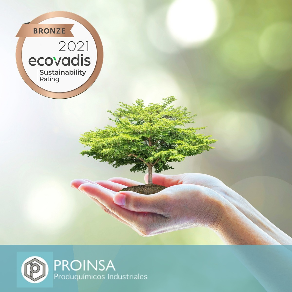 proinsamx's tweet photo. ¡Proinsa obtiene medalla de bronce EcoVadis!

https://t.co/xJBfFe3tfO https://t.co/KIuDAggBTe