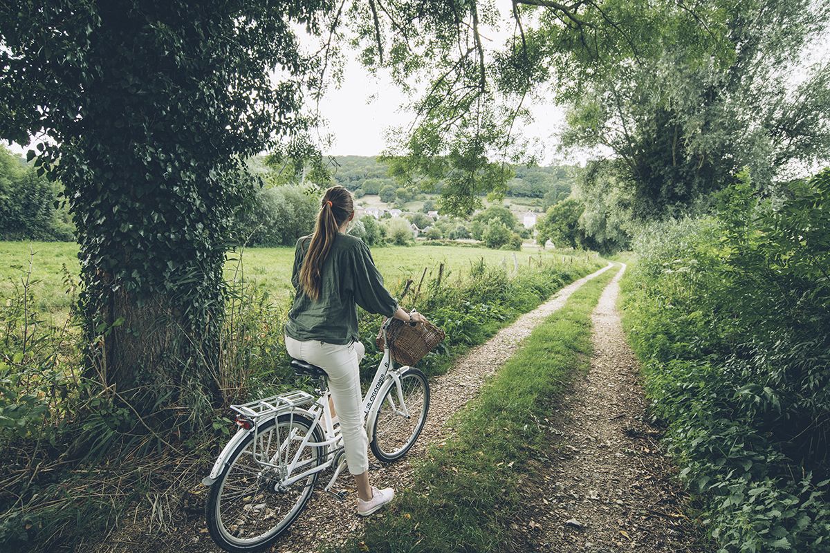 🌿 Voyager dans des lieux méconnus en France : dans l’Eure, le Marais Vernier pourrait bien vous surprendre ! 👉🏻 buff.ly/310u44q

📷 Max Coquard, Best Jobers