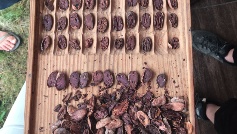 Cacao is an agricultural product, so some changes are expected but that is where our QC work comes into play. We always love to chat about this with makers and other cacao lovers.