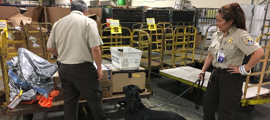 The recently passed COVID-19 stimulus bill, the ‘American Rescue Plan,’ provides the U.S. Fish and Wildlife Service with over $100 million in funding to address critical #wildlife disease and trafficking issues. ow.ly/7MyA50E7iun #covid19 #coronavirus