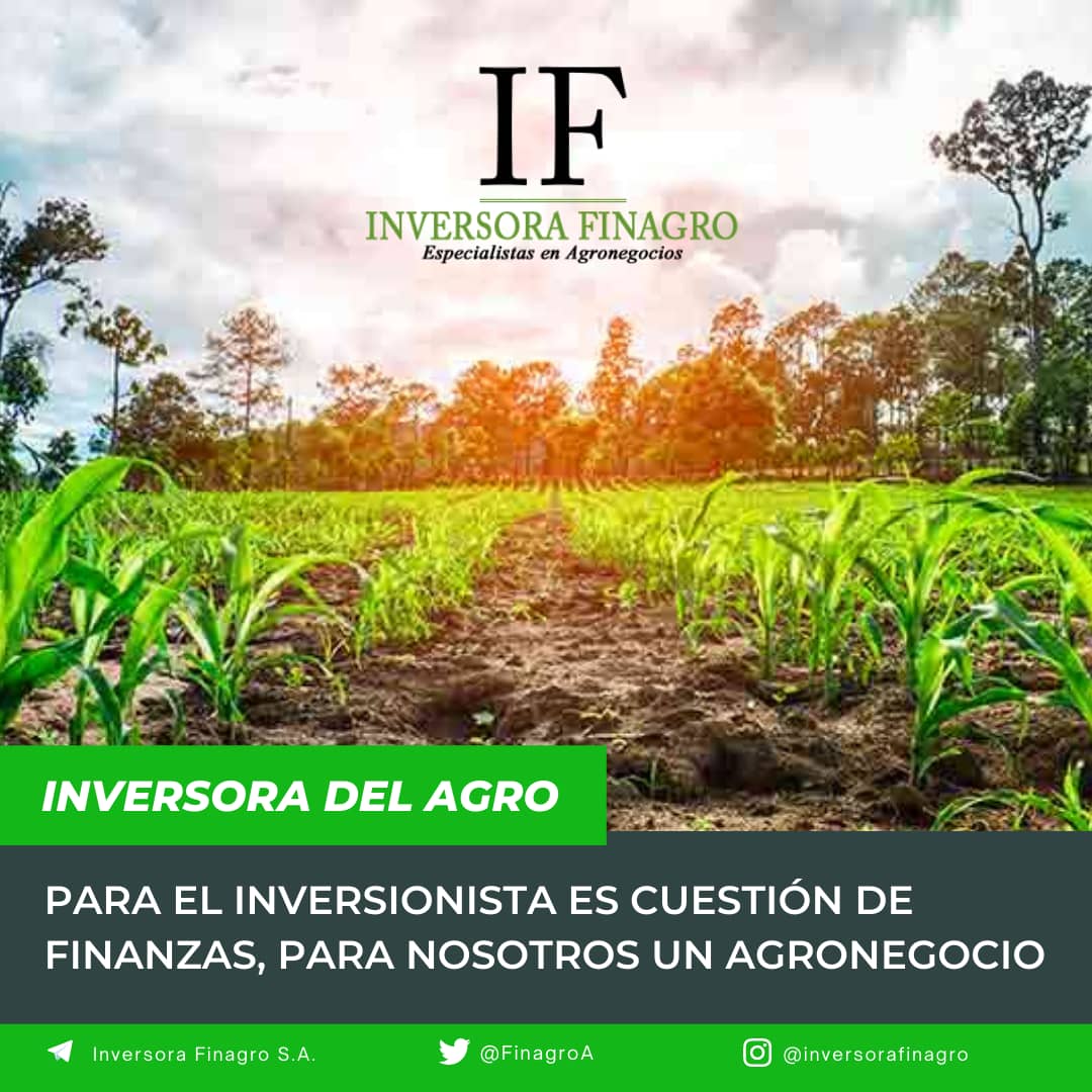 FinagroA's tweet photo. Conozca la primera inversora especializada en el agronegocios en Venezuela.
#inversorafinagro #EcosistemaAgroFinanciero #Bolprinagro #SomosBDVE #PiMarkets #SIDEME #inversión #Inversiones #indices #inversora #agricultura #siembra #Cosecha #Ganado #agro #sustentabilidad #economy https://t.co/x4VQn7zllh