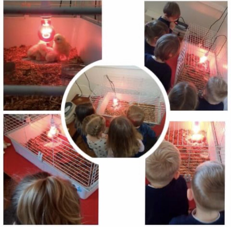 CBeddau's tweet photo. Syrpreis i'r plant heddiw 🐣🐤
Nice surprise for the children today 🐣🐤 https://t.co/zIZeUbXLzs