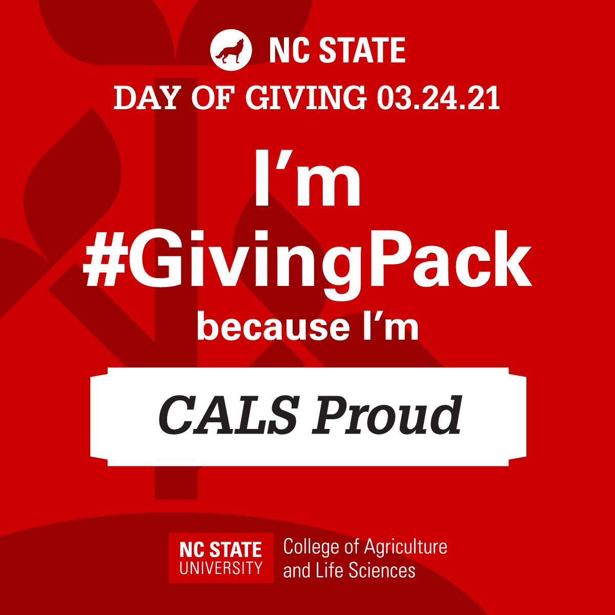 NCStateCALS's tweet photo. Alumni, now is the time for you to help us spread the word about @NCState Day of Giving. Share this photo to social media and let us know why you're #GivingPack. Tag us, two of your friends and use #GivingPack! https://t.co/b9fC7JzADY https://t.co/V3V2awYS1W